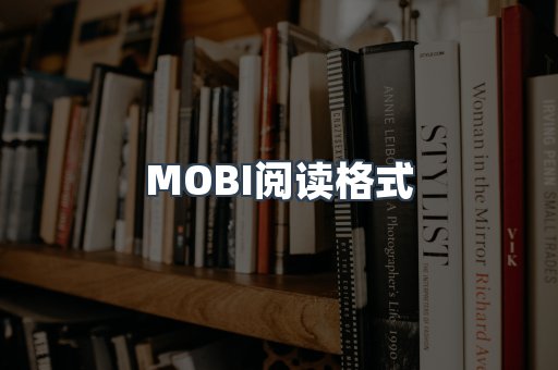 EPUB电子书
